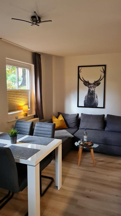 Ferienwohnung Braunlage - Gemuetliche Auszeit Ngoại thất bức ảnh